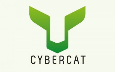 CYBERCAT in full growth as it approaches its 25th anniversary!